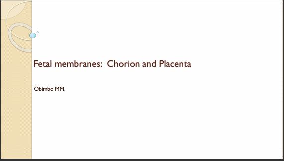 No preview available